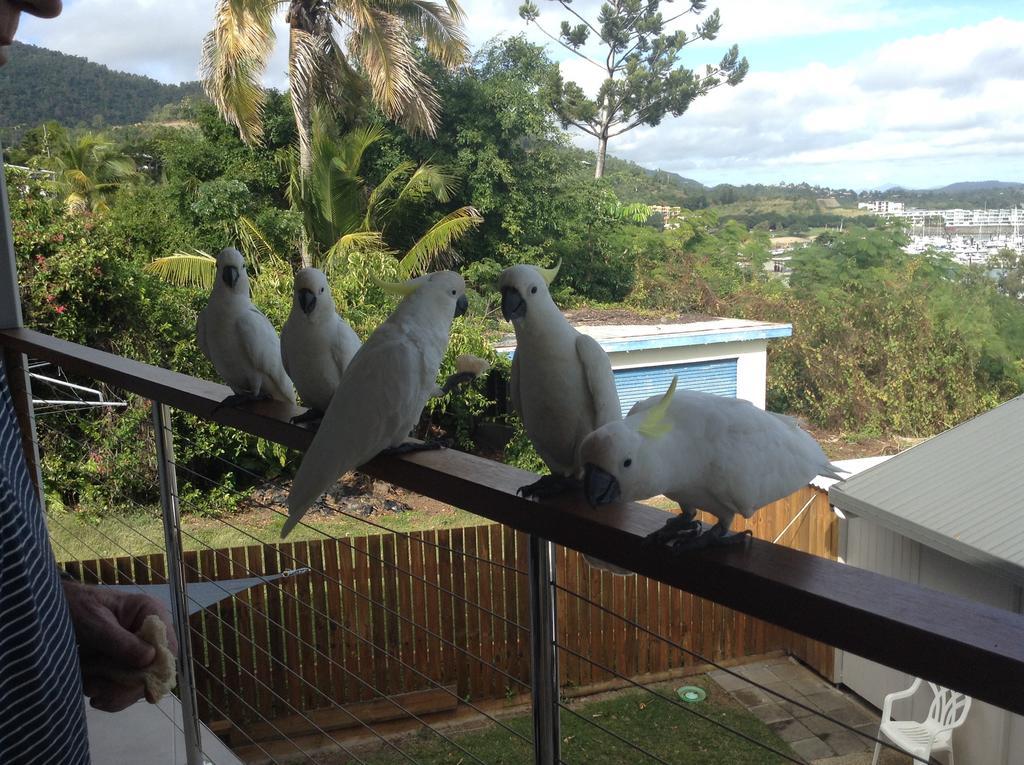 Studio Apartment With Seaview Airlie Beach Exterior foto